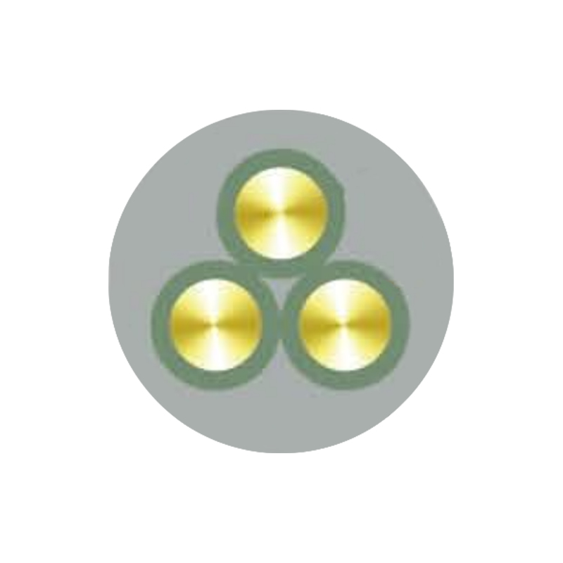 Lenta Purgamentum Insulated Cable De Rated Voltages Sursum Ad Et Complectens 450/750V