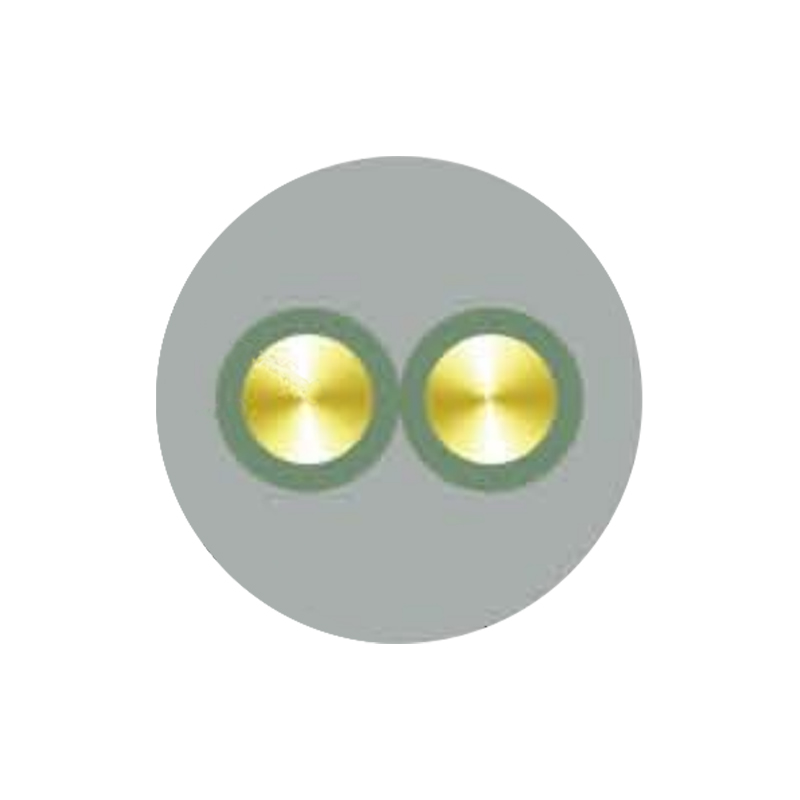 Lenta Purgamentum Insulated Cable De Rated Voltages Sursum Ad Et Complectens 450/750V