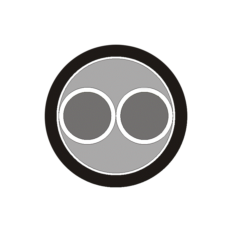 XLPE/PVC Insulated Cable (filum) Ratum Voltage Upto et Complectens 450/750V