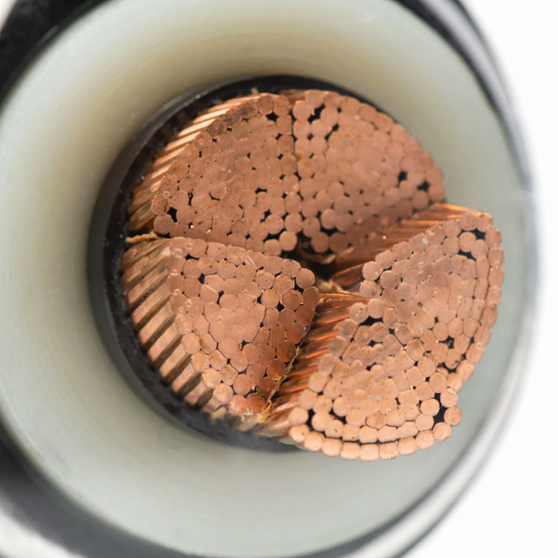 Aqua Probatur Series Cables