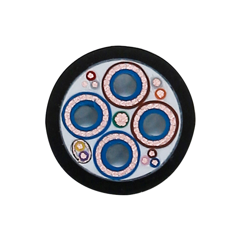 EV Charging For Rated Voltage 450/750V