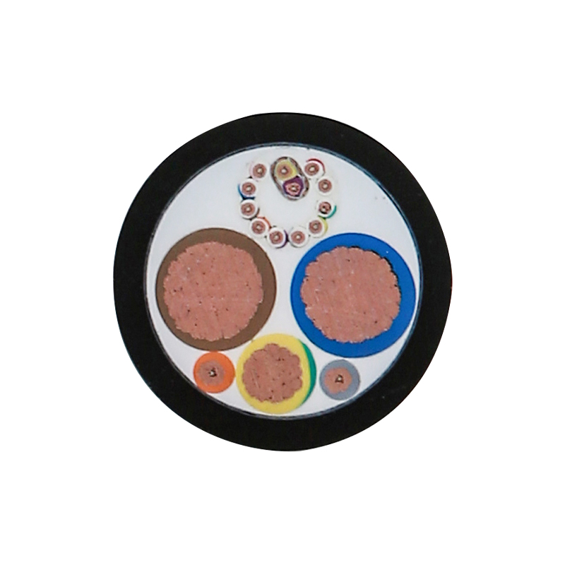 EV Charging For Rated Voltage 450/750V