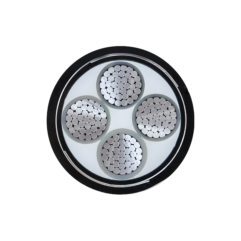 EV Charging For Rated Voltage 450/750V