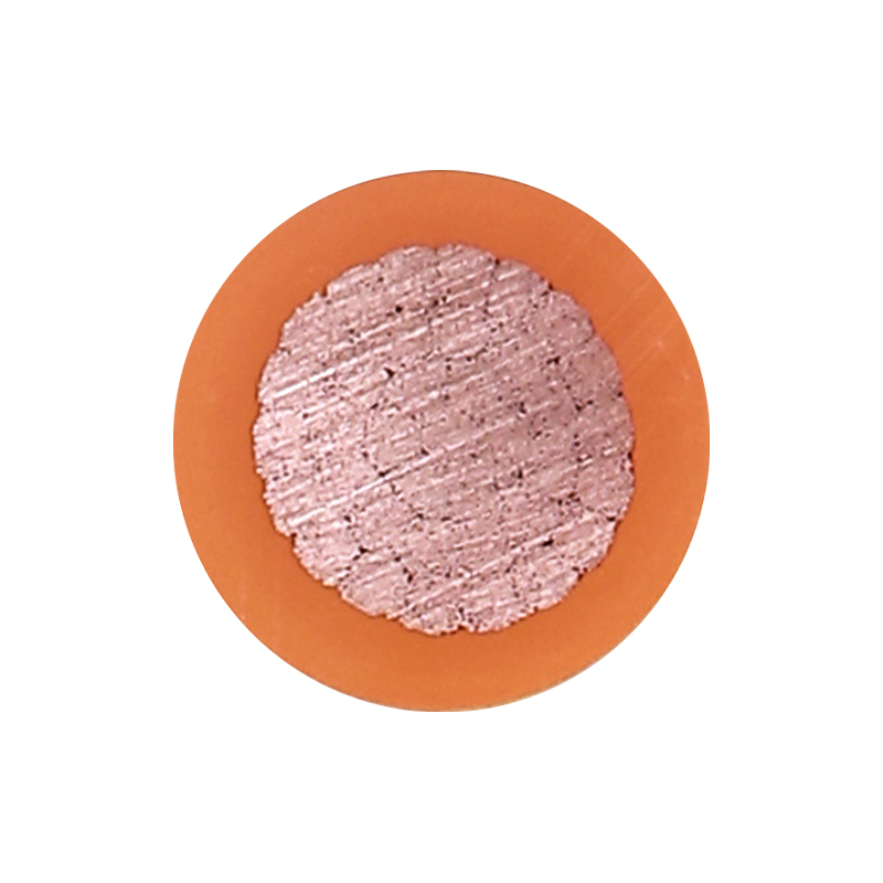 EV Charging For Rated Voltage 450/750V