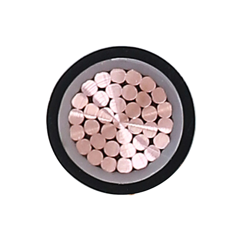 EV Charging For Rated Voltage 450/750V