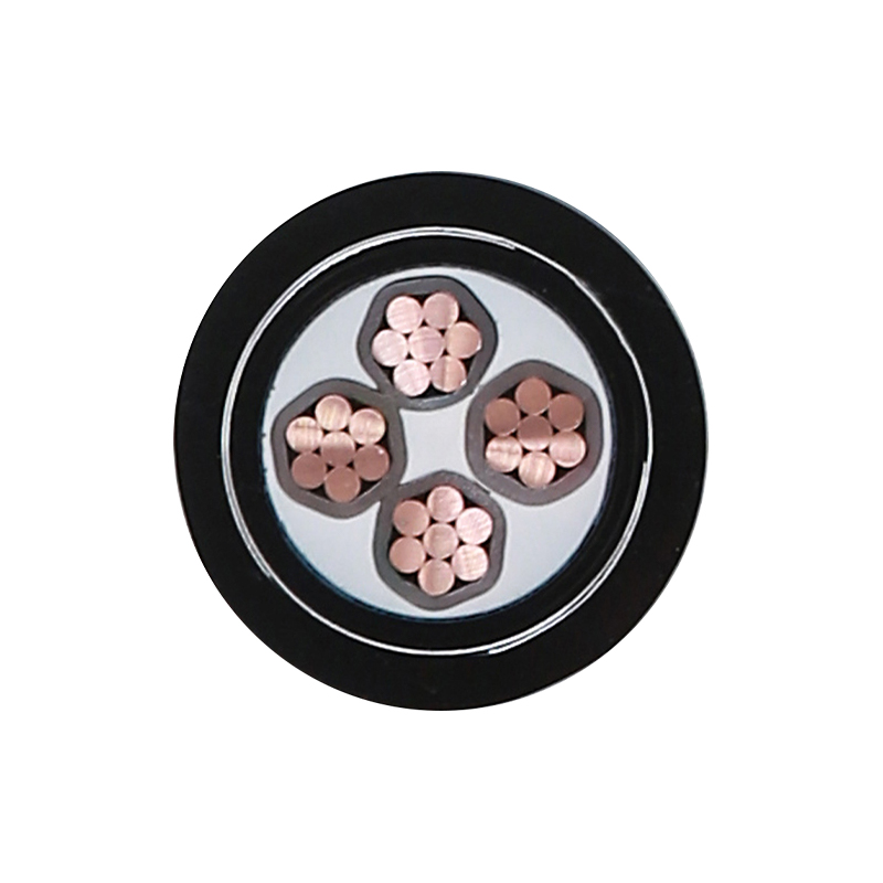 EV Charging For Rated Voltage 450/750V