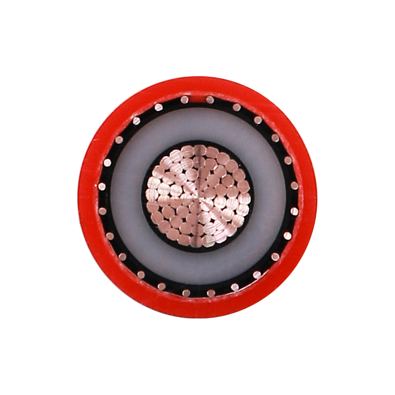 EV Charging For Rated Voltage 450/750V