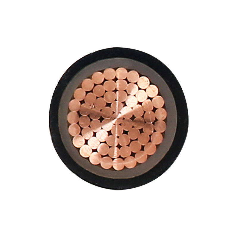 EV Charging For Rated Voltage 450/750V