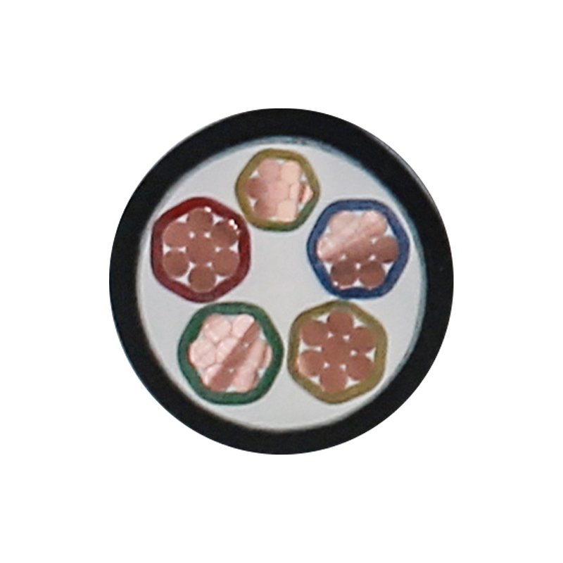 EV Charging For Rated Voltage 450/750V