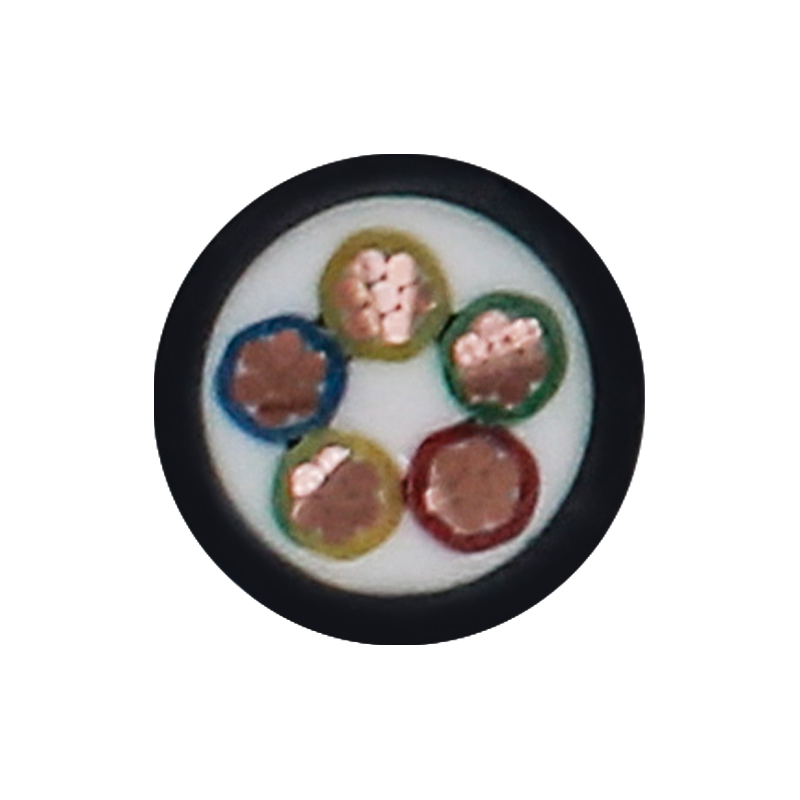 EV Charging For Rated Voltage 450/750V