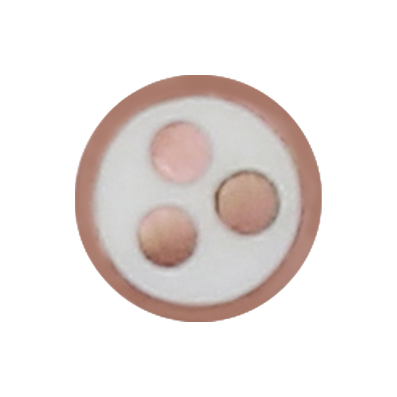 EV Charging For Rated Voltage 450/750V