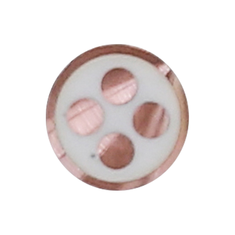 EV Charging For Rated Voltage 450/750V