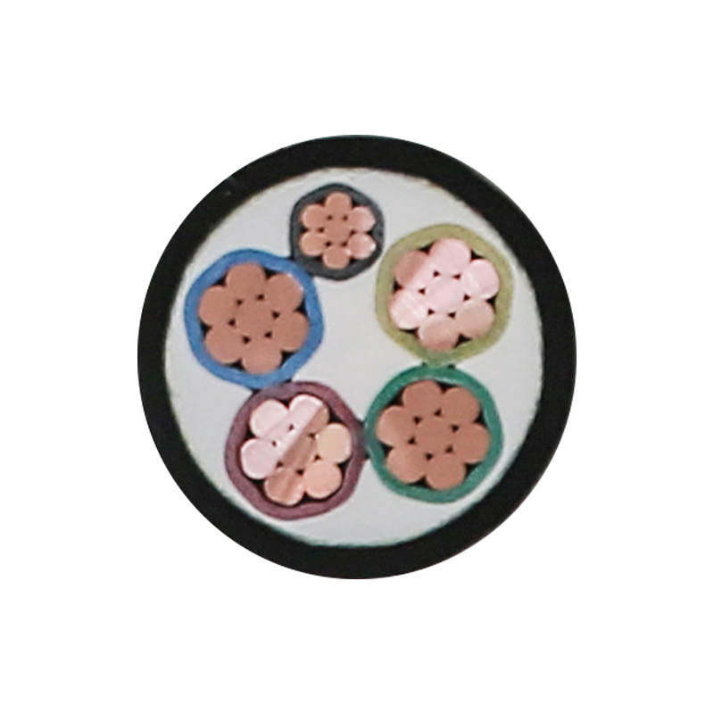 EV Charging For Rated Voltage 450/750V