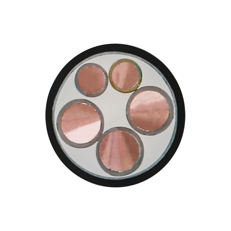 EV Charging For Rated Voltage 450/750V