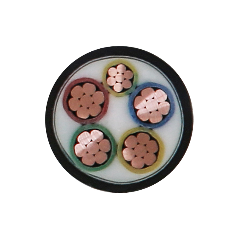 EV Charging For Rated Voltage 450/750V