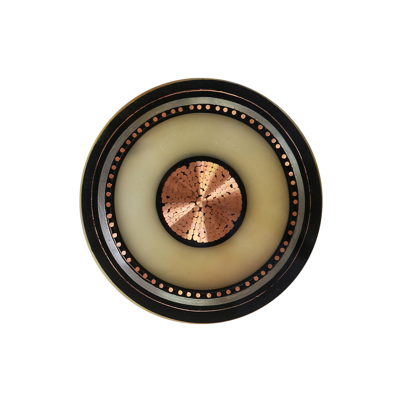 EV Charging For Rated Voltage 450/750V