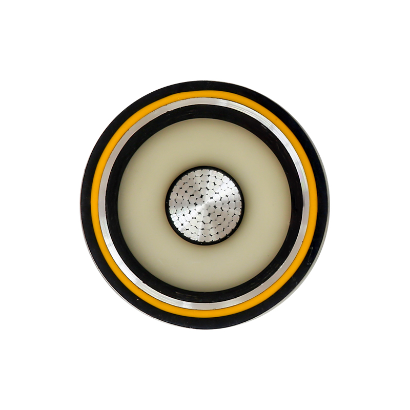 EV Charging For Rated Voltage 450/750V