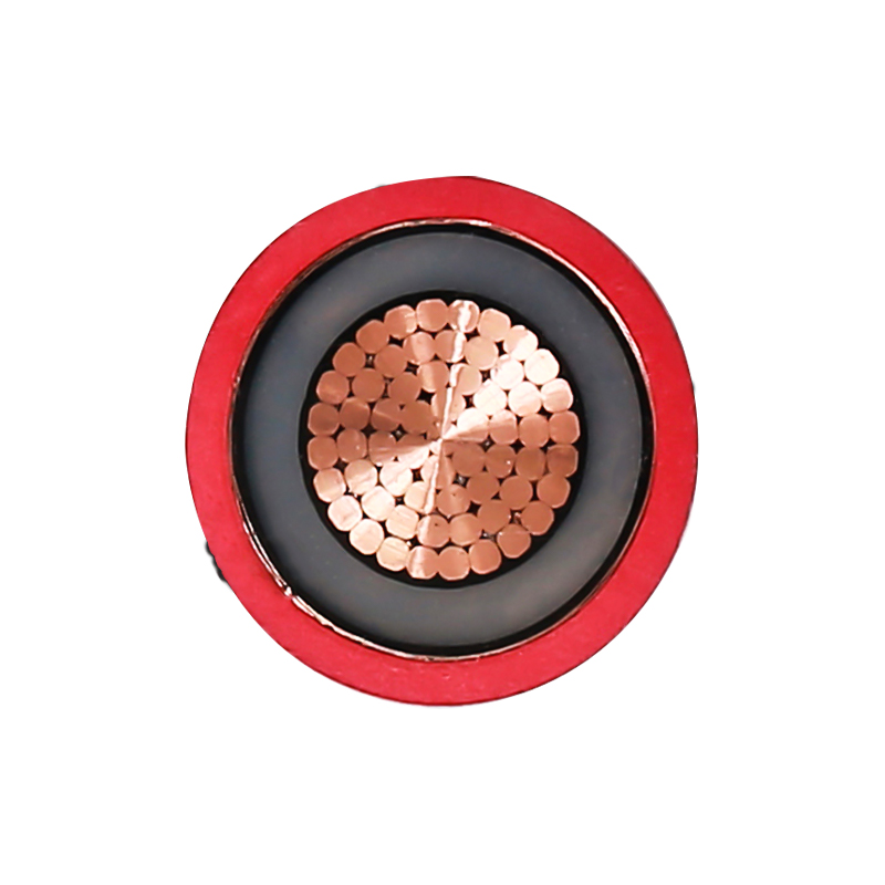 EV Charging For Rated Voltage 450/750V