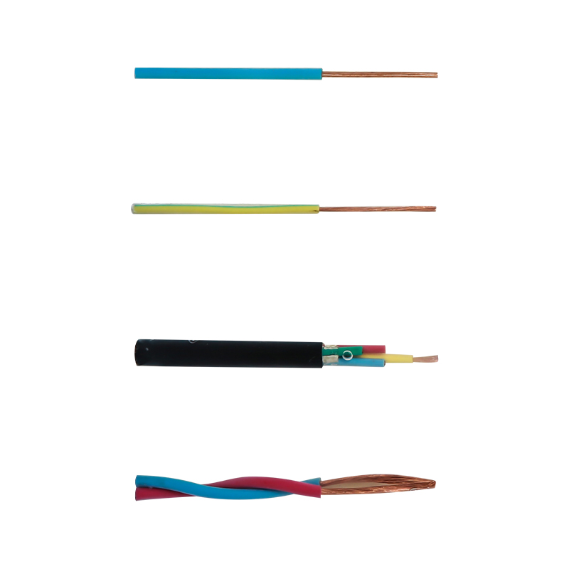 EV Charging For Rated Voltage 450/750V