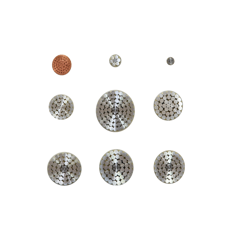 EV Charging For Rated Voltage 450/750V