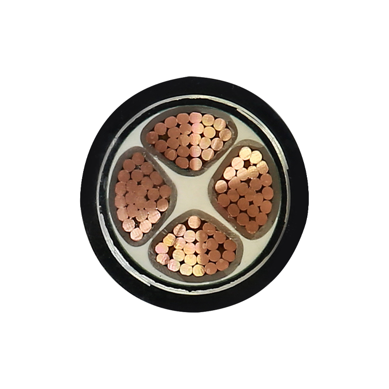 EV Charging For Rated Voltage 450/750V