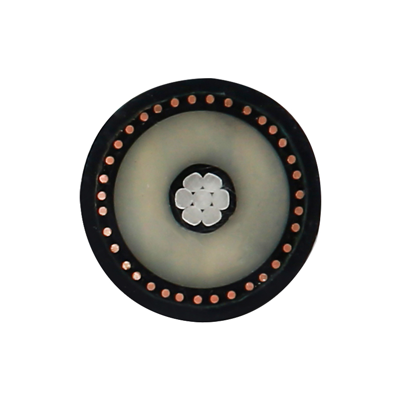 EV Charging For Rated Voltage 450/750V