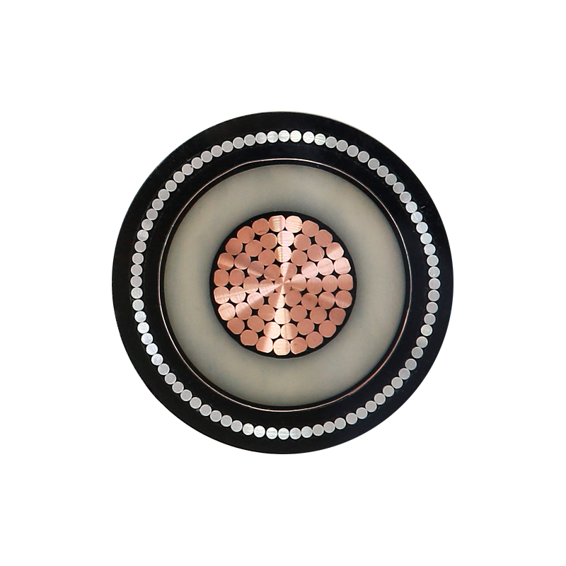 EV Charging For Rated Voltage 450/750V