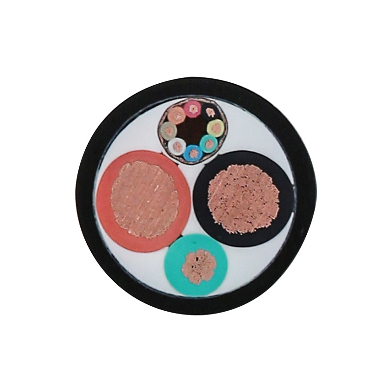 EV Charging For Rated Voltage 450/750V